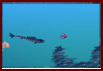 Azurefish