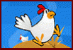 Chicken Attack