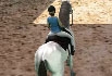 Horse Jumping 3D