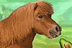 My Dear Pony