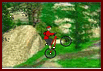Mountain Bike Fog