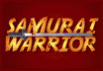 Samurai Warrior