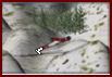 Ski Jump DX