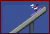 Ski Jumping