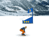Snowboard Slalom