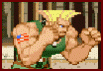 Super Street Fighter 2