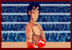 Iron Mikes Punch Out