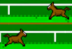 Impossible Horse