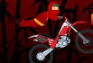 Ninja Bike